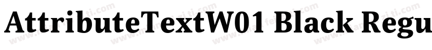 AttributeTextW01 Black Regular字体转换
